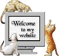 Cat's Welcome